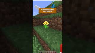 TROLL TNT💥QUE cosa mas RARA #minecraft