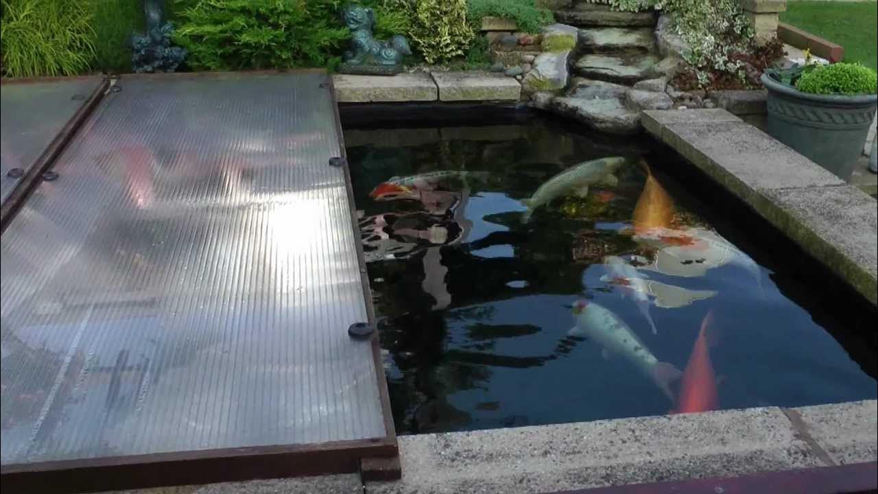PREPAIRING THE KOI POND FOR WINTER YouTube