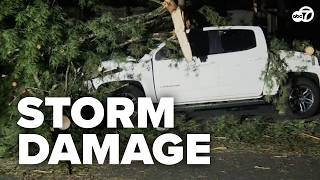Storms knock out power for thousands of Fairfax County customers as trees snap in Burke