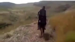 En Komik Eşşekten Düşüş