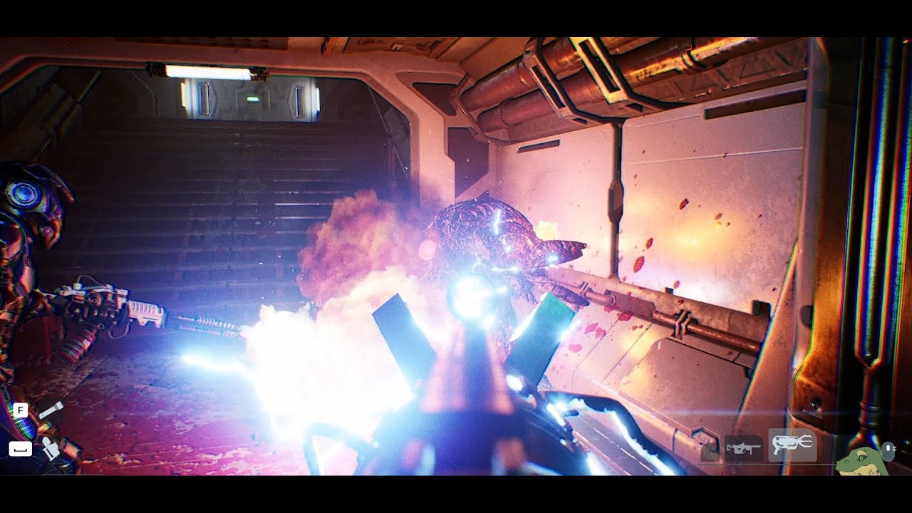 Species Unknown -- Well Toasted Squid