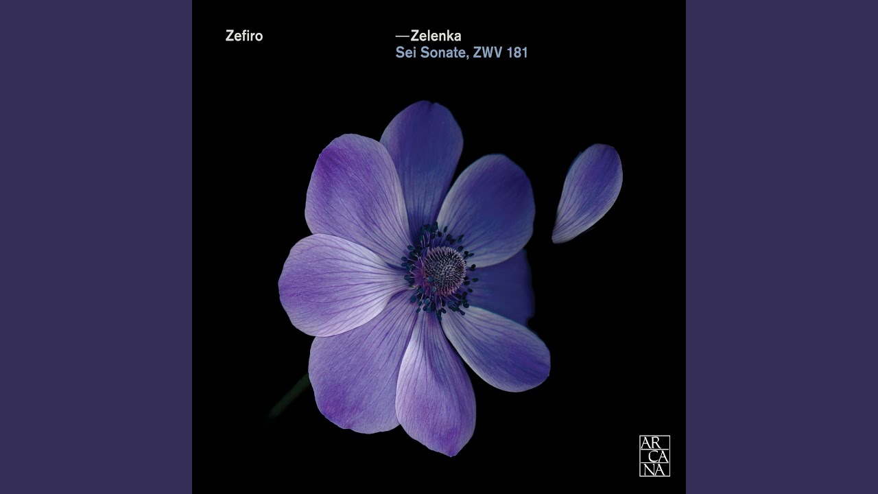 Sonata No. 4 in G Minor, ZWV 181/4: II. Allegro