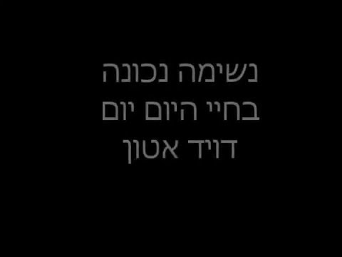 וִידֵאוֹ: דודקאטון