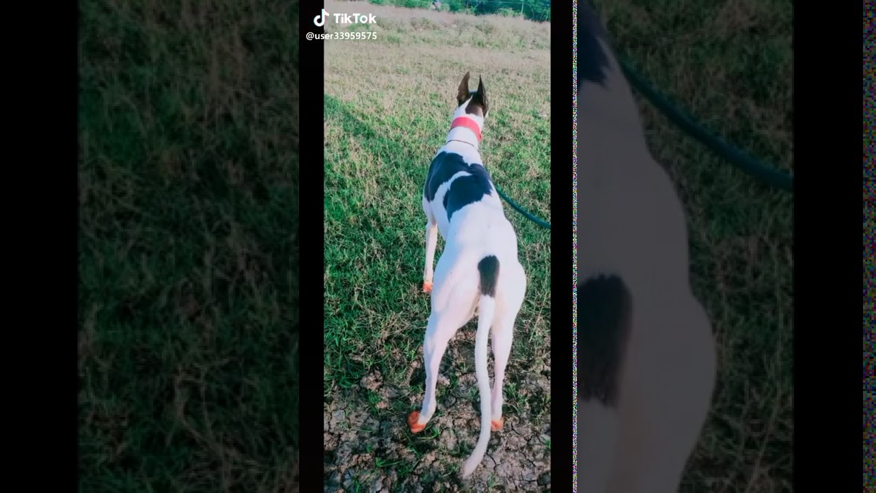 Sardar racing club devr hippragi