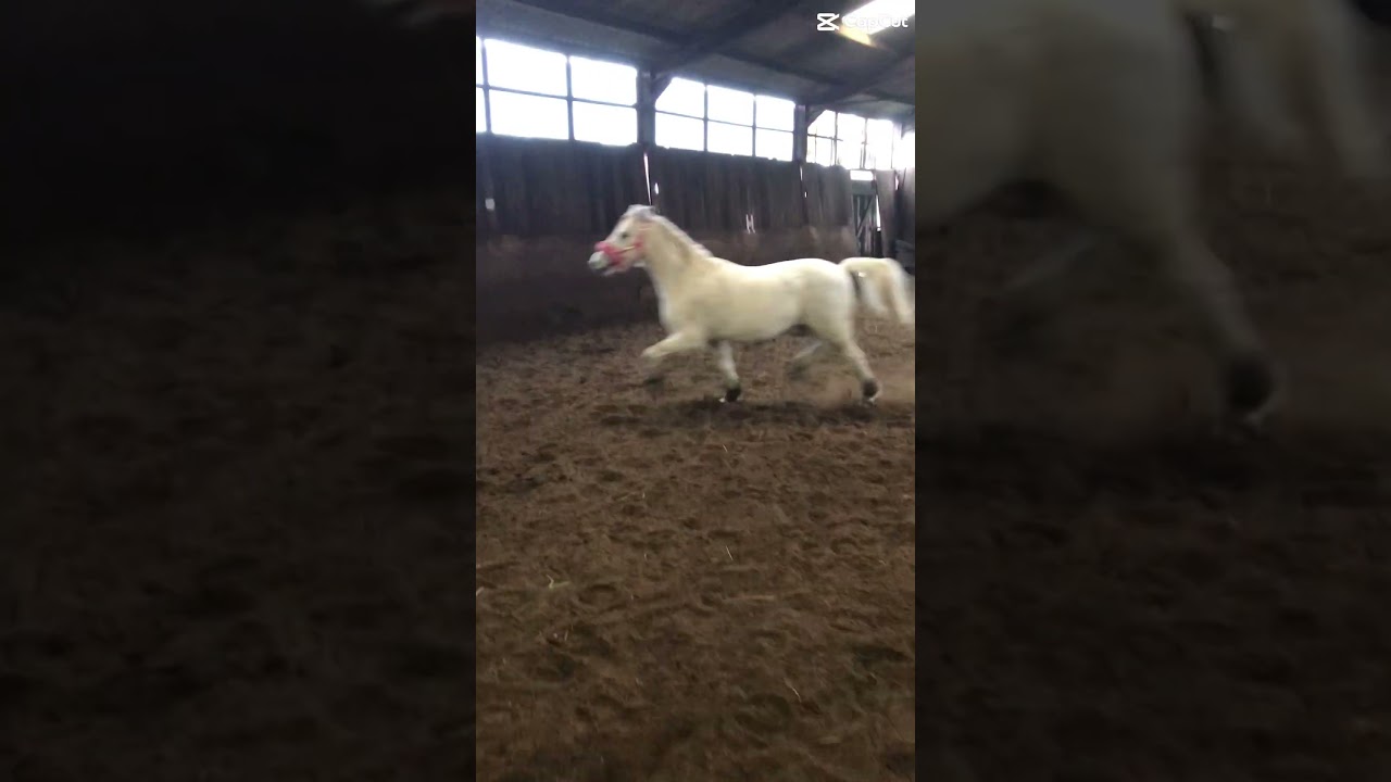 copy D006B37B 05F4 45F2 922F 528B6BB42C7D