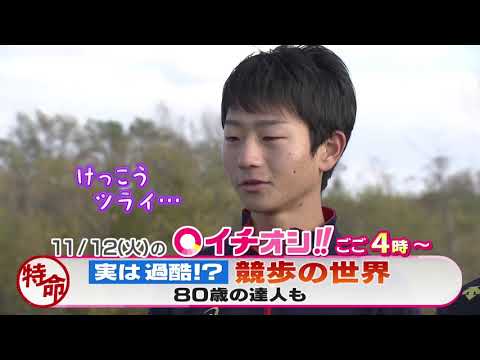 【公式】11月12日（火）イチオシ！！　番組予告