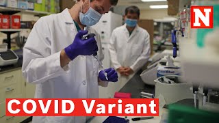 What Is A COVID Variant? Variant Of Concern vs Variant Of interest