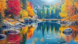Richard Clayderman Classics & Beautiful Movie Themes | Relaxing Music 