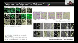 Cellpose-SAM: superhuman generalisation for cellular segmentation