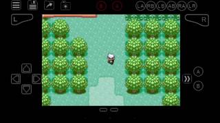 Pokemon Emerald Randomizer Android Now with free randomized roms