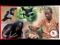 The untold mystery about kwakwadobinever joke with those animals becos they can make or destroy