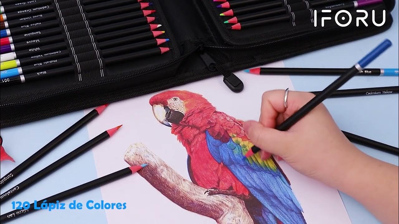 Kit Artista Dibujo Profesional, Estuche 160 Lapices De Color