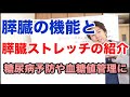 膵臓の働きと膵臓ストレッチのご紹介　糖尿病予防をこのストレッチで！