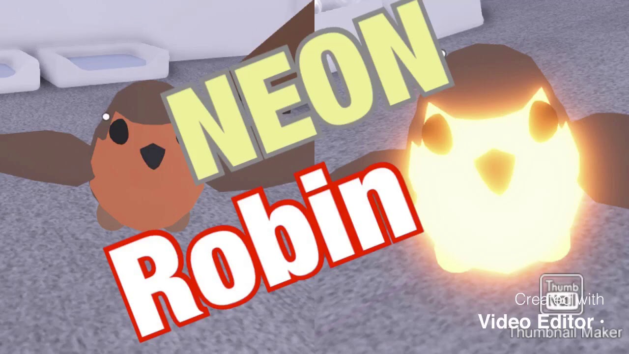 Roblox Adopt Me Making A Neon Robin Youtube - making neon robin roblox adopt me