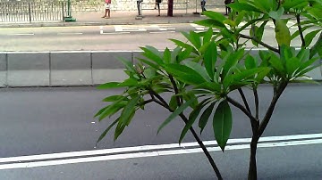 Syma X5C first flight Test video 司馬 X5C 初次試飛