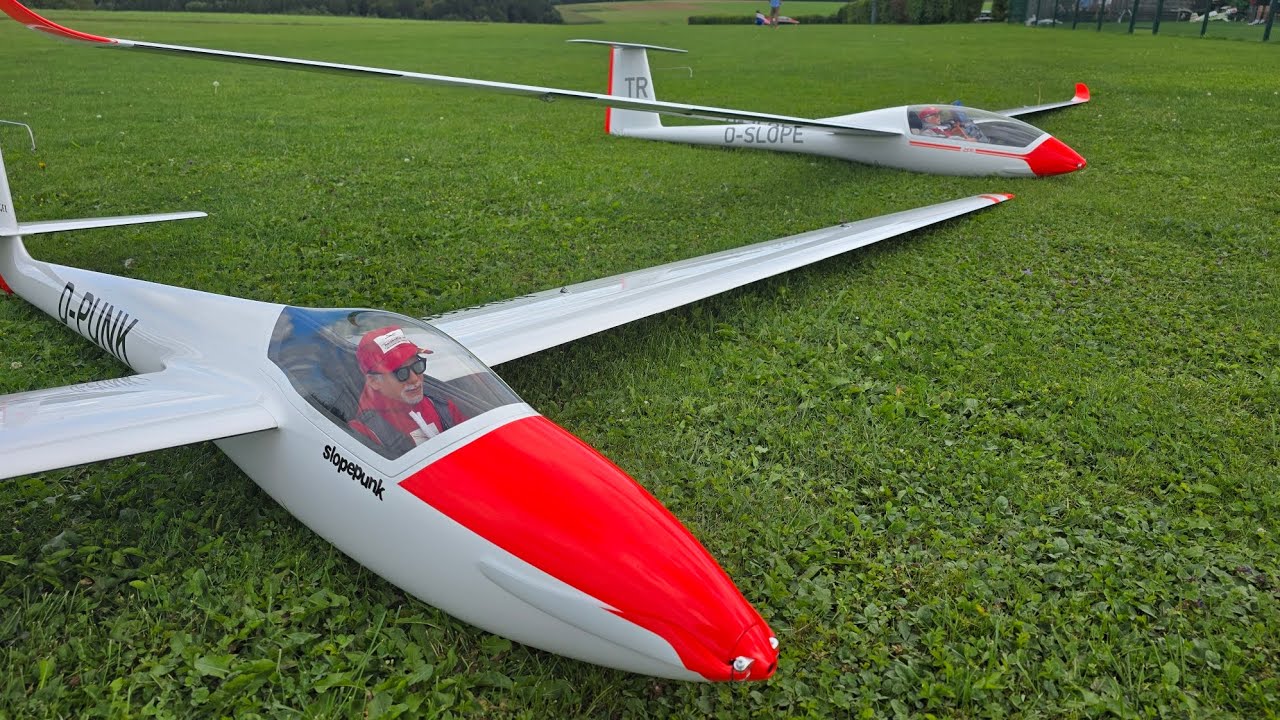 Libelle von FW-Models - rausgeholt und abgestaubt.... 