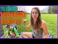 🍄 MUSHROOM HUNTING in Telluride while Airstream Camping, Hiking &amp; Mountain Biking