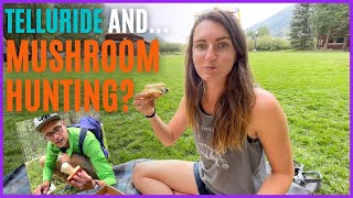 🍄 MUSHROOM HUNTING in Telluride while Airstream Camping, Hiking & Mountain Biking by This Wylde Life 1,538 views 2 years ago 18 minutes