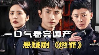 一口气看完国产悬疑剧《燃罪》，高分新剧高能反转不断！#movie #film  #影视解说 #影视 #电影解说