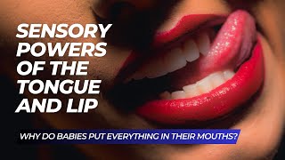 Why do babies put everything in their mouths? - Sensory powers of the tongue and lip by Stuff I Learned 18 views 9 months ago 3 minutes, 22 seconds