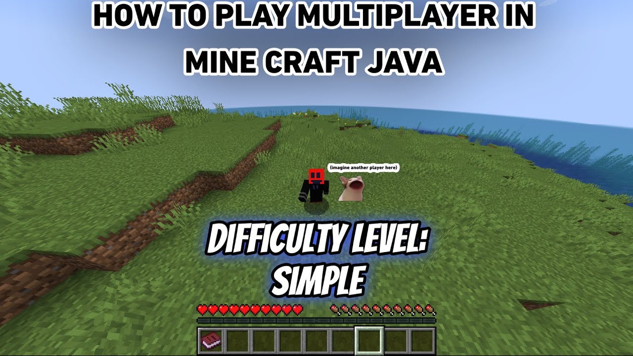 HOW TO PLAY JAVA MULTIPLAYER WITH YOUR FRIENDS (easy) - YouTube