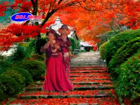 Radha Dhundh Rahi Kisi Ne Mera Shyam Dekha | Shyam Bhajan