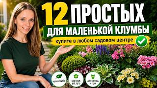 12 МНОГОЛЕТНИКОВ для МАЛЕНЬКОЙ клумбы: цветёт всё лето и не разрастается