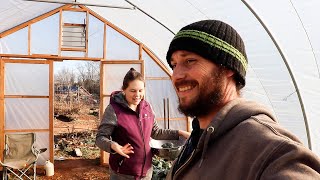 Is This Homesteading Life Worth It?