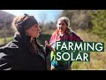 Their farms successfully runs off solar power