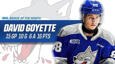 OHL Rookie of the Month – David Goyette (Sudbury Wolves)