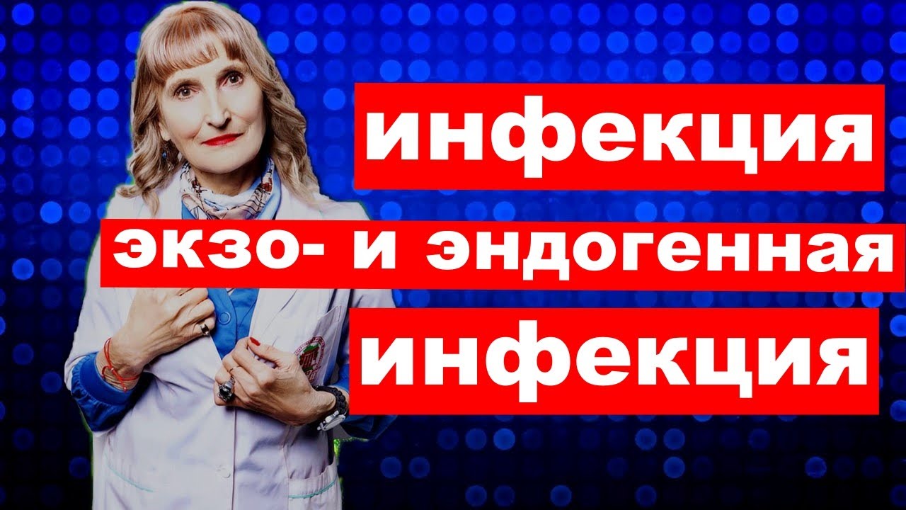 постулат # 189 экзо и энтогенная инфекция