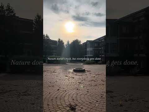 Moving At Your Own Pace Is Still Progress Motivational Reminder