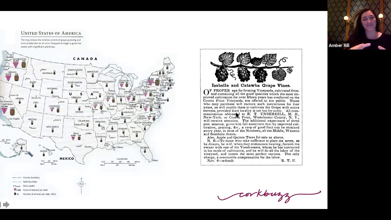 American Wine History Part 1