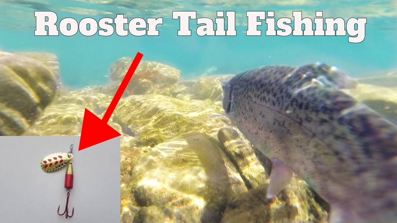 Rooster Tail Fishing For Trout: How To Catch Rainbow Trout On Rooster Tail  Lure