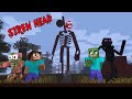 Monster School : SIREN HEAD ATTACK - Minecraft Animation