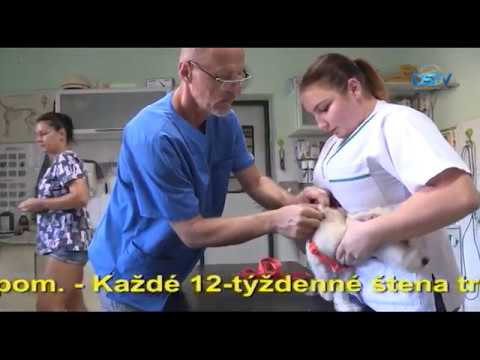 Video: Od 1. Septembra Sa Zavádzajú Pokuty Za Použitie Studne Bez Licencie