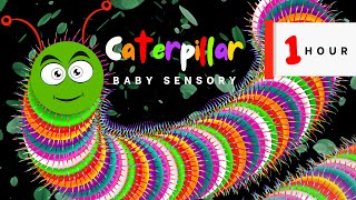 Baby Sensory Rainbow Caterpillar - High contrast video with music - Visual Eye Tracking for Babies
