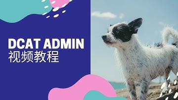 14、基于laravel的后台管理系统 dcat admin 数据表单修改数据显示内容，显示图片与默认editor编辑器使用
