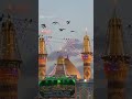 لبيكَ ياحُسين یا حسین علیہ السلام ❤️ #nohastatus #iranisraelwar  #views_viral_video_subscribers_grow