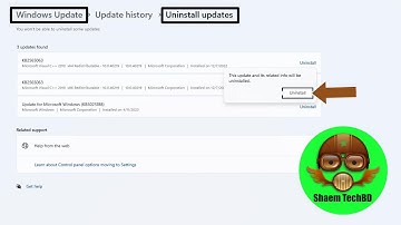 How to Uninstall an Update on Windows 11 |  Uninstall Recent Updates in Windows 11/10 [Super Easy]