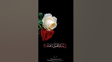 صباح الخير🌹حالات واتساب مقاطع قصيره🌹قران كريم رب اجعلني مقيم الصلاه ومن ذريتي🌹بدون حقوق احمد النفيس