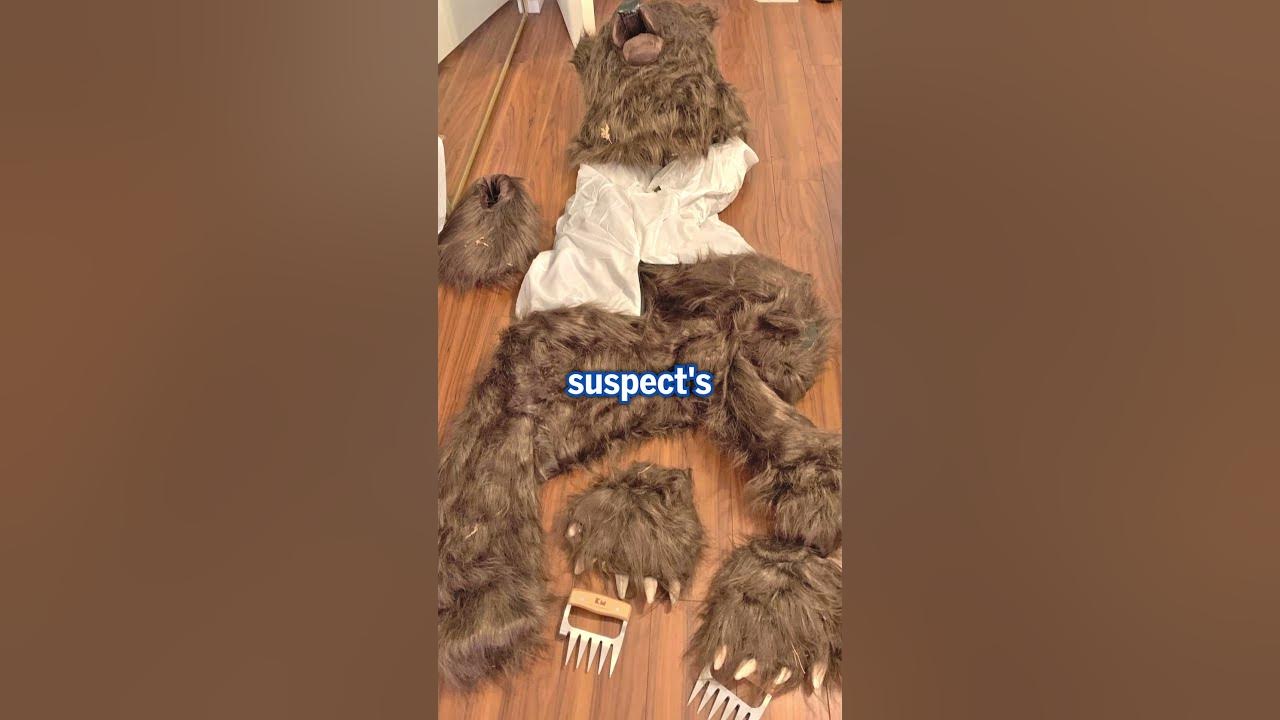 Police work out this bear attack is not a bear attack at all…