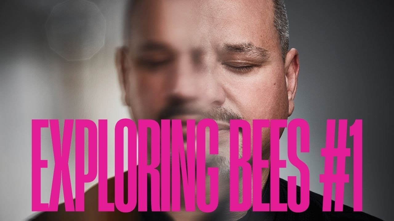 ANDREAS DOMBERT – "Exploring Bees" – MOVEMENT 1