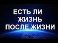 Есть ли жизнь после жизни