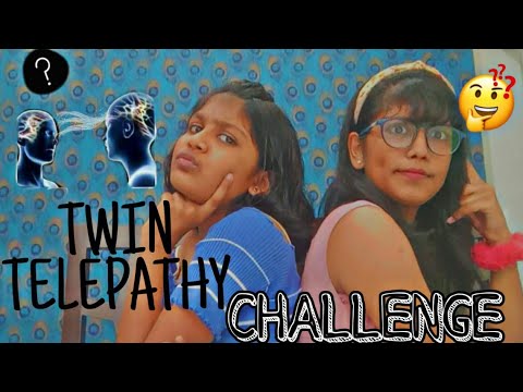Twin Telepathy challenge 🤪 - YouTube