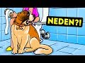 Köpeğiniz Neden Sizi Banyoya Kadar Takip Ediyor