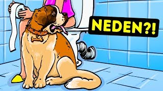 Köpeğiniz Neden Sizi Banyoya Kadar Takip Ediyor