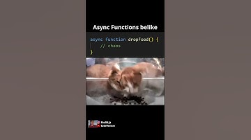 async function belike #coding #programming #javascript #python