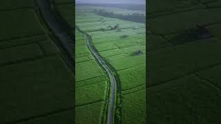 Download Lagu Story Damai Bersamamu cover Chrisye MP3