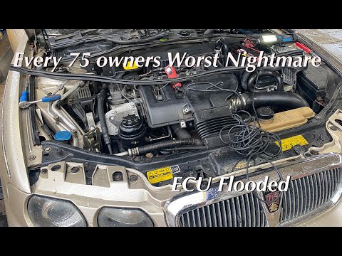 The Number 1 Tip For Rover 75 and MG ZT Owners - Almost Killed My Car 